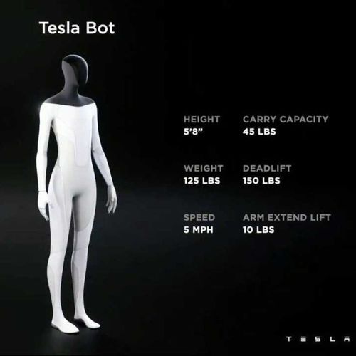 tesla-bot-introduced-at-tesla-ai-day-2021-7.jpeg