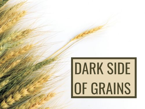 Dark Side Of Grains.png