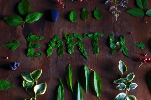 leaves-on-table-H_a57GKWIMI.jpg