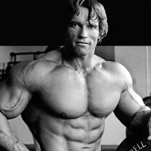 Arnold-Schwarzeneggers-Diet-and-Workout-Plan.jpg